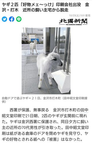印刷会社にヤギ現る 副社長「今日はヤギが来てるのでシャッターを開けないように」