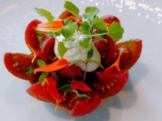 小林麻耶【麻耶☆道】