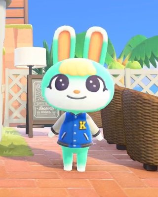 どうぶつの森 Switch 