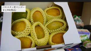 namichannel youtube はしもとなみ 橋本奈実 総合