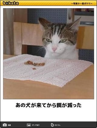 拾い画貼って
