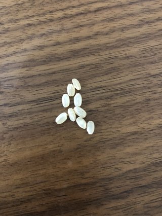 貰った米が黄色いんだけど精米されてない？