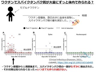 新型コロナワクチンでがんにはならない　将来体に影響が出ない理由を医師が解説