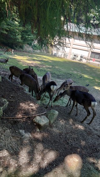 &#x{11:F8E2};なんでもいｰから&#x{11:F8E2};