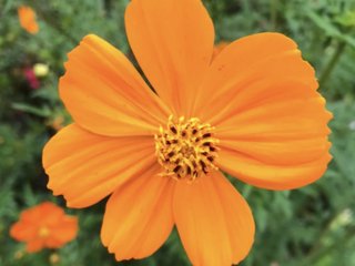 【【　小林麻耶・吟　】】　語り部屋