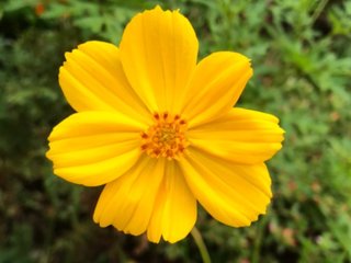 【【　小林麻耶・吟　】】　語り部屋