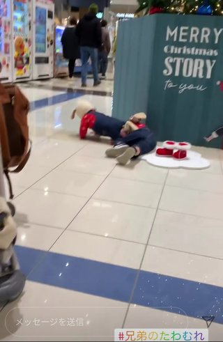 インスタグラマー