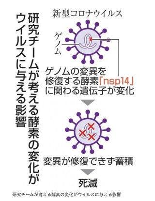 【国立遺伝学研究所】コロナウイルスが死滅したと発表
