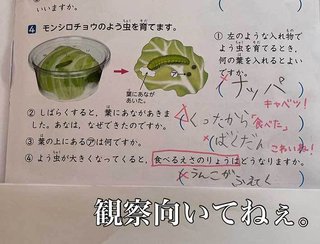 回答。小２の女の子らしいけど