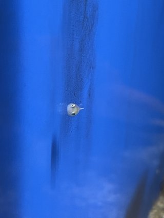 &#x{11:F8E2};なんでもいｰから&#x{11:F8E2};