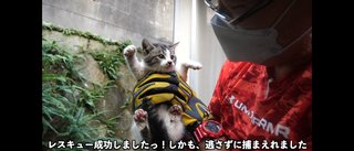 洗濯機の排水穴に顔が挟まった子猫のレスキュー！がたまらんかった