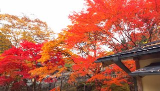 &#x{11:F8E2};なんでもいｰから&#x{11:F8E2};