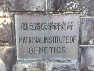 【国立遺伝学研究所】コロナウイルスが死滅したと発表