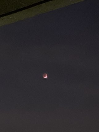 今日皆既月食