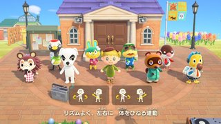 どうぶつの森 Switch 