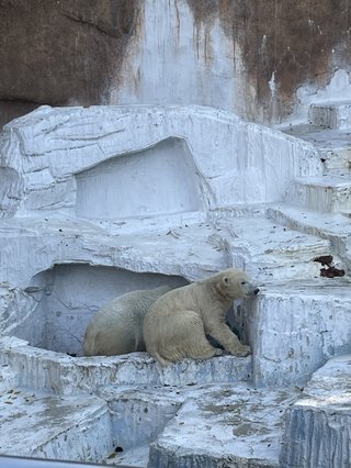 &#x{11:F8E2};なんでもいｰから&#x{11:F8E2};