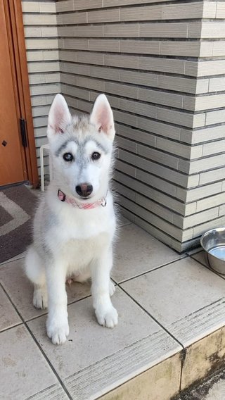 最近笑った話教えて！