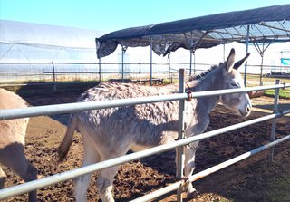 &#x{11:F8E2};なんでもいｰから&#x{11:F8E2};