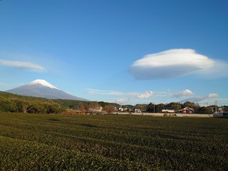 &#x{11:F8E2};なんでもいｰから&#x{11:F8E2};