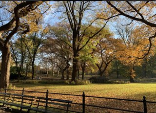 ワクチン打たない有名人