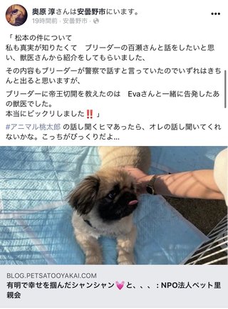 1000匹多頭飼育、母犬を無麻酔で帝王切開…杉本彩さんが告発した悪徳ブリーダーのひどすぎる実態