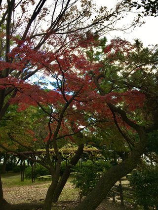 &#x{11:F8E2};なんでもいｰから&#x{11:F8E2};