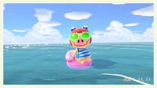 どうぶつの森 Switch 