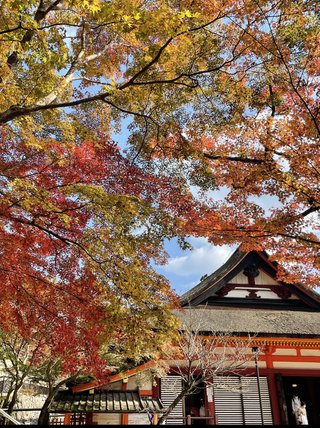 &#x{11:F8E2};なんでもいｰから&#x{11:F8E2};