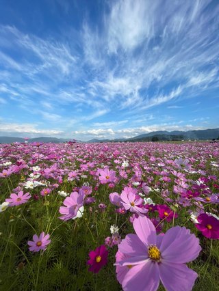 &#x{11:F8E2};なんでもいｰから&#x{11:F8E2};