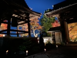 &#x{11:F8E2};なんでもいｰから&#x{11:F8E2};