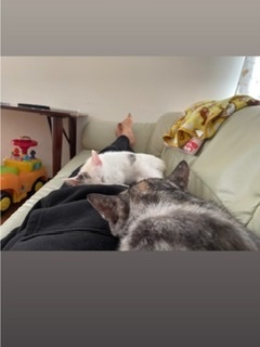 いしだ壱成の嫁 飯村貴子