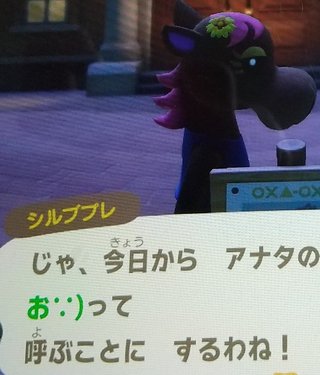 どうぶつの森 Switch 