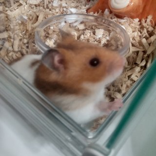 &#x{11:F8E2};なんでもいｰから&#x{11:F8E2};