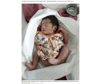 草むらに捨てられた新生児、寒空の下で寄り添う野良犬の母子に命を救われる（印）