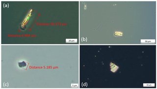 ドイツの有名な化学者 EUのノアック博士はワクチン成分の「ナノカミソリ」を暴露