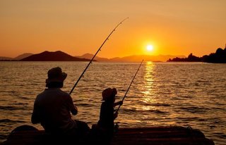 スーパーでお米を忘れてきた。盗まれていた。