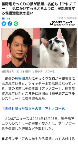 綾野剛そっくりの猫「アヤノゴー」　