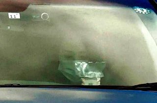 松田聖子さん、辛いだろうな