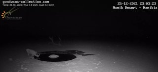 砂漠に設置された人工水飲み場を見守るライブカメラ配信が癒されると話題