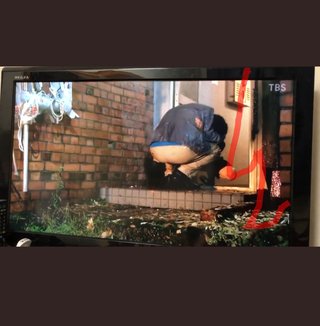 TBS【最愛】金曜 22時