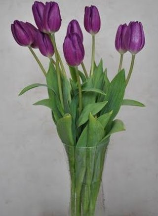 土曜ドラマ『二月の勝者－絶対合格の教室－』日テレ