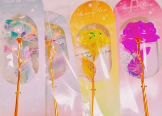 100均セリア〔パカにできないなぁ〕