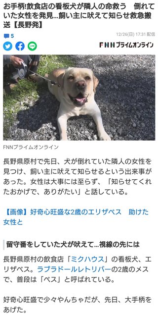 お手柄!飲食店の看板犬が隣人の命救う　倒れていた女性を発見…飼い主に吠えて知らせ救急搬送