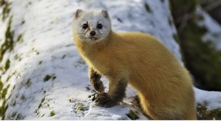 中3、予期せぬ妊娠 「心身ぼろぼろに」 産後うつ 長男への愛情が支えに