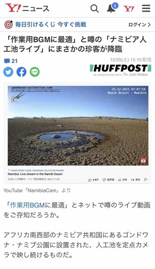 ナミブ砂漠、電通案件だった