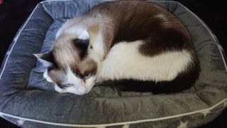 子供達の彼女連れて旅行するのに