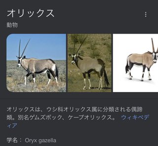 砂漠に設置された人工水飲み場を見守るライブカメラ配信が癒されると話題