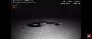 砂漠に設置された人工水飲み場を見守るライブカメラ配信が癒されると話題