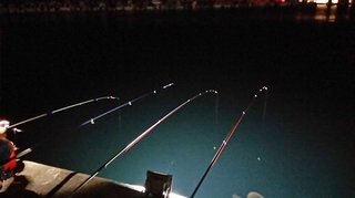 よく道を聞かれる人ってさ