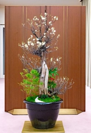 これ悠仁様が作ったんだって。すごいね